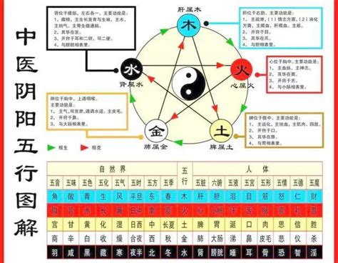 五行歸類表|陰陽五行對照表(綜合版)